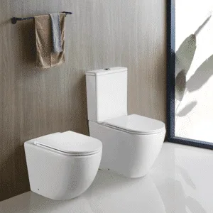 Toilet bidet